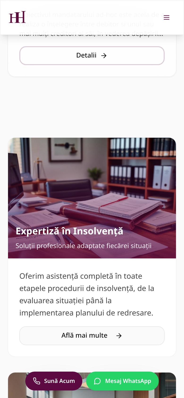 Cabinet de Insolvență HH pe telefon, ecranul 3