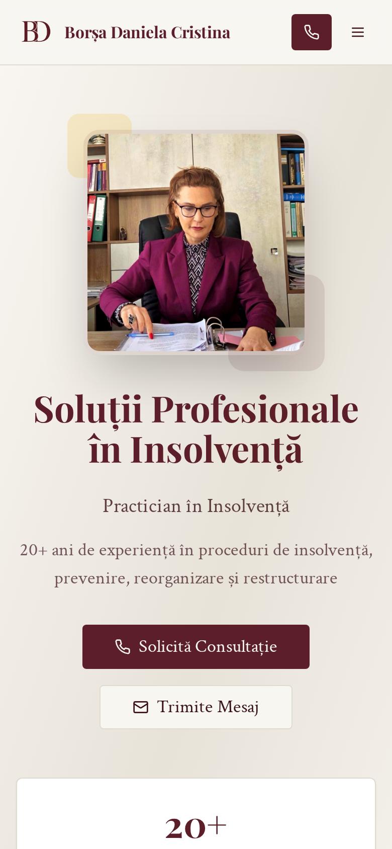 Insolvența BD pe telefon, ecranul 1