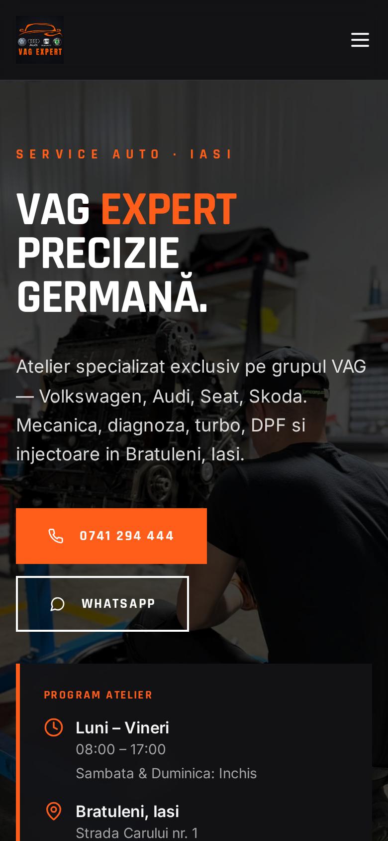 VAG Expert pe telefon, ecranul 1