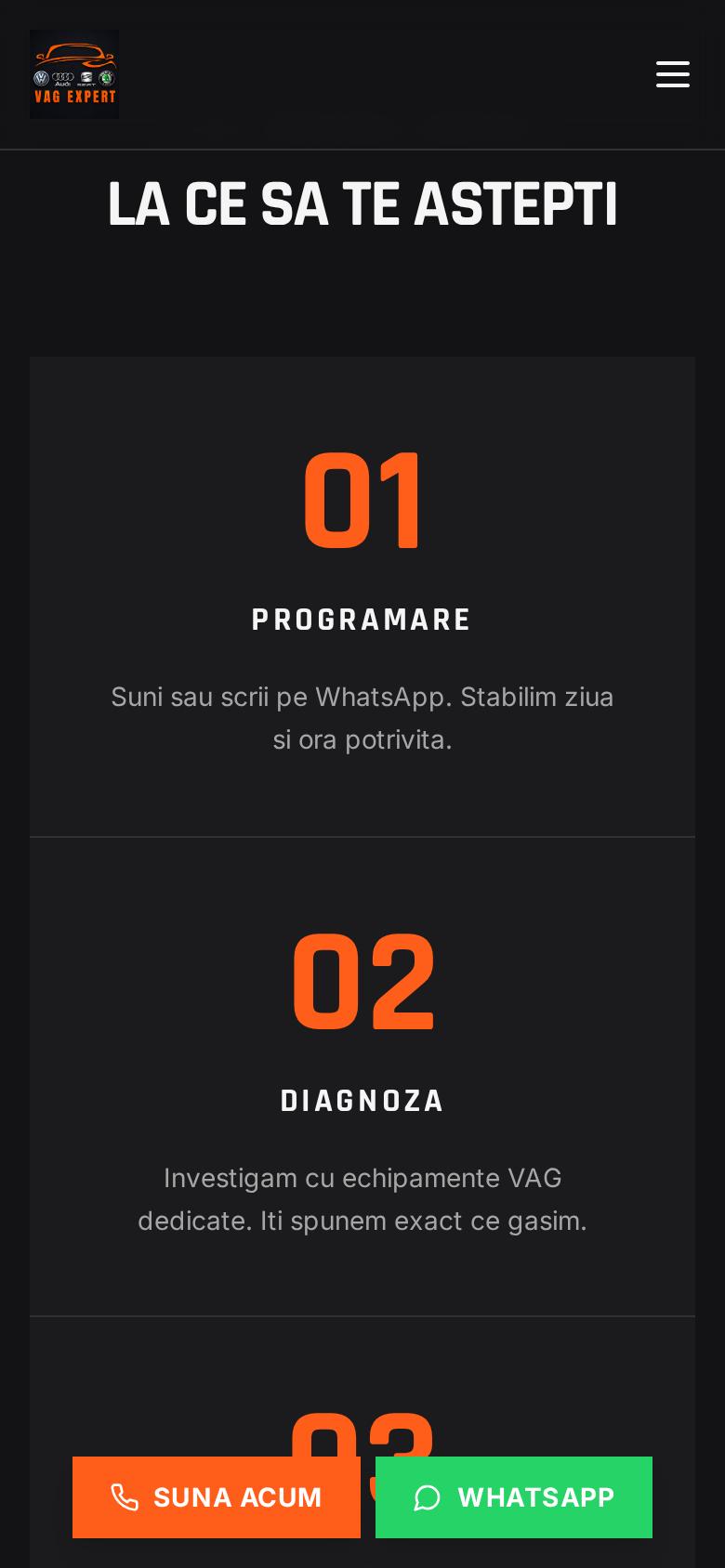 VAG Expert pe telefon, ecranul 3
